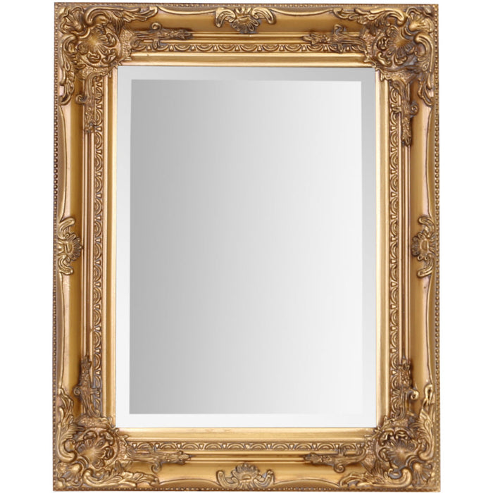 Rhone Wall Mirror 42x53cm Antique Gold