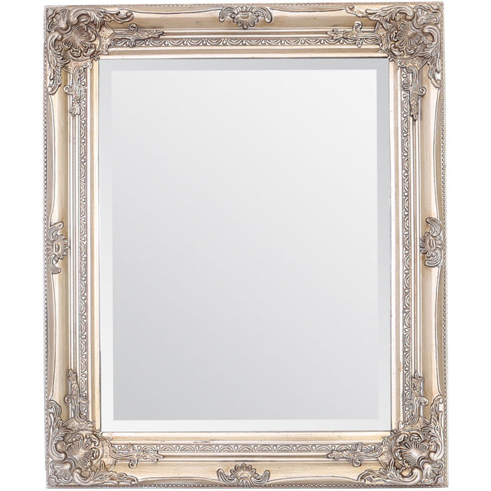 Rhone Wall Mirror 50x60cm Antique Champagne