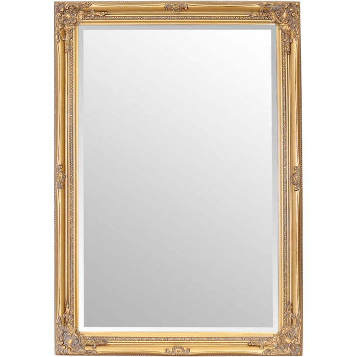 Rhone Wall Mirror 70x100cm Antique Gold