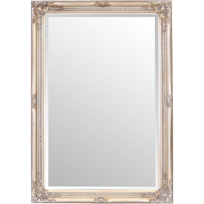 Rhone Wall Mirror 70x100cm Antique Champagne