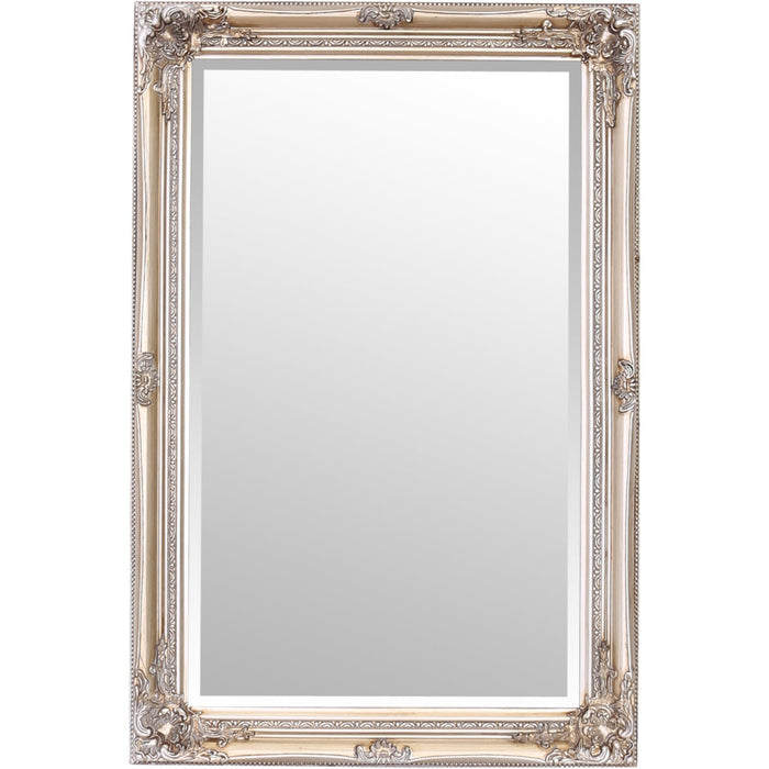 Rhone Wall Mirror 60x90cm Antique Champagne