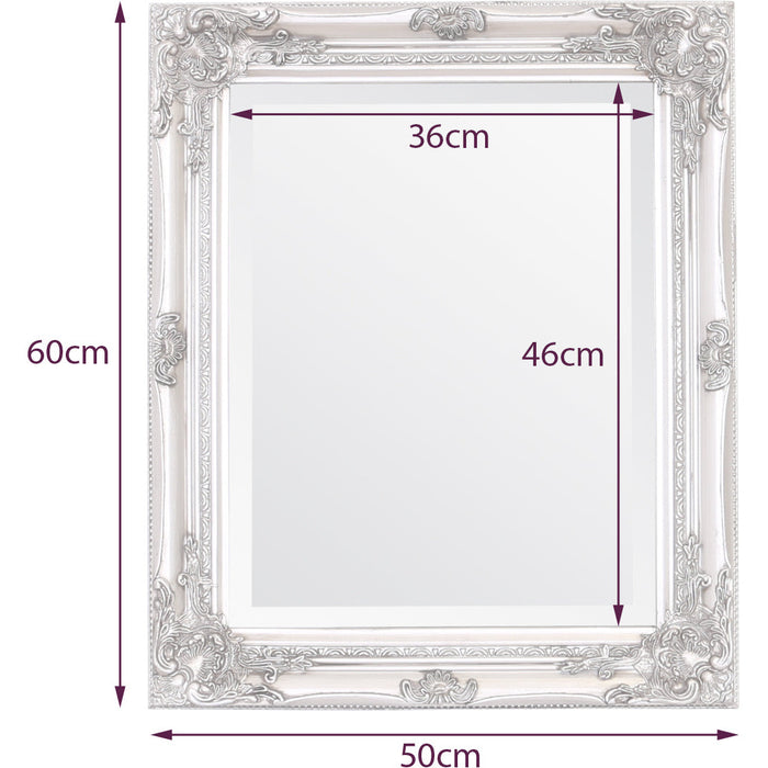 Rhone Wall Mirror 50x60cm White