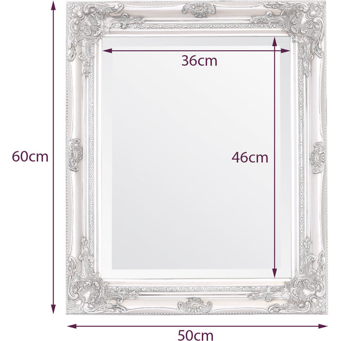 Rhone Wall Mirror 50x60cm Antique Champagne