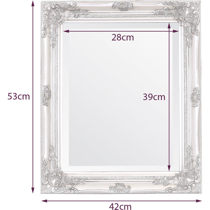 Rhone Wall Mirror 42x53cm Antique Gold