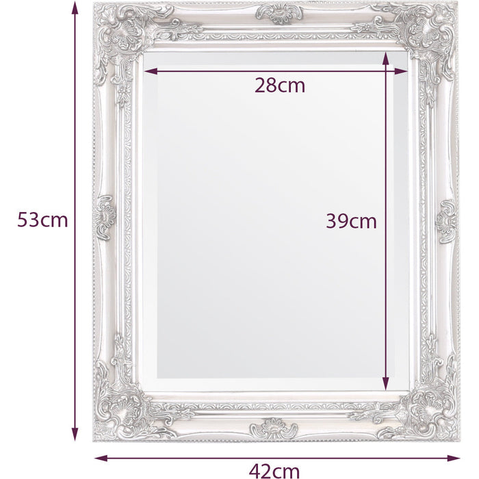 Rhone Wall Mirror 42x53cm White